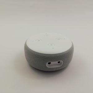 Smart Home Speaker